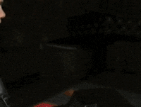 cleopold GIF by Downtown Records