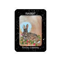 Full Moon Bunny Sticker