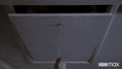 National Lampoons Christmas Vacation Knockout GIF by Max