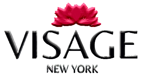 visagenewyork giphyupload magda freitas magdafreitas Sticker