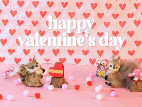Valentines Day Love GIF by Stephanie