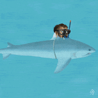 art beach GIF by Scorpion Dagger