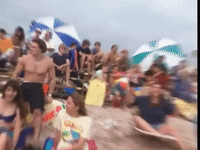 the mystery files of shelby woo nicksplat GIF