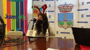 asociacioneoeo  GIF