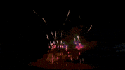 Firework GIF by Pyroland