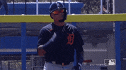 Major League Baseball Sport GIF by Detroit Tigers