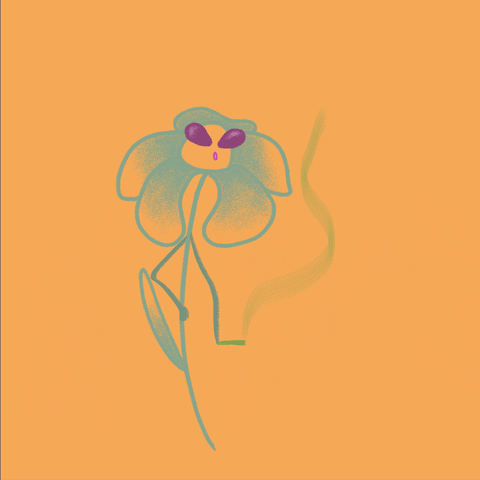 milcha giphyupload smoking flowey kwiat GIF