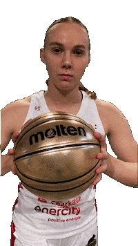 Basketball Bundesliga Sticker by TKH Luchse