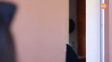 Trick Or Treating At 25