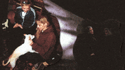 GIF by Partisan Records