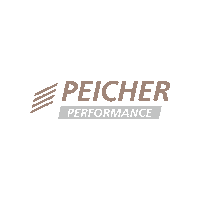 Perfromance Sticker by peicherautomotive