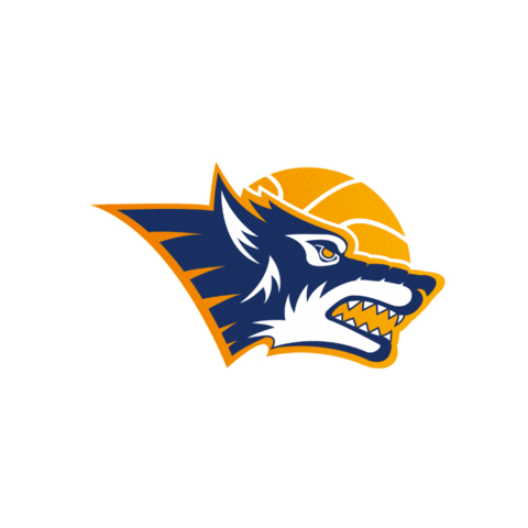 Basketball Sticker by Rostock Seawolves
