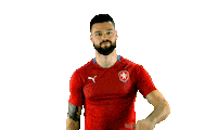 Czech Republic Ceskarepre Sticker by 2score