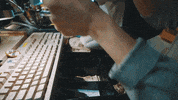 Cat Song GIF by Anthony Green