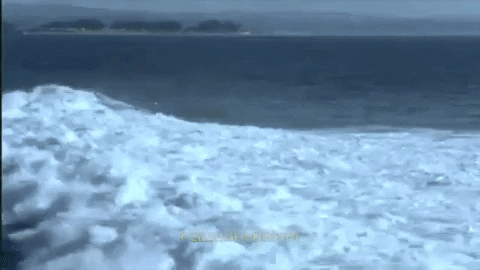 The Wave GIF by Bedouine