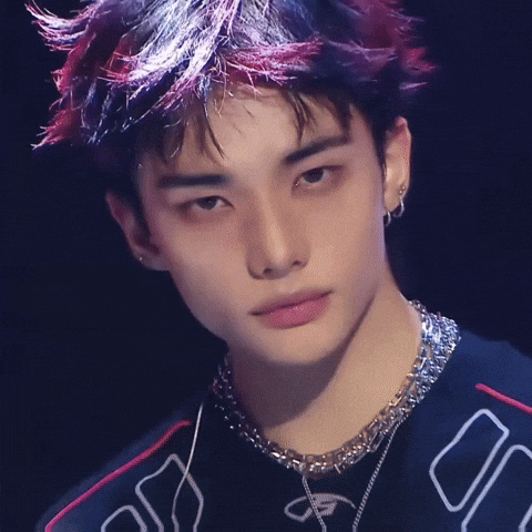 Stray Kids Skz GIF