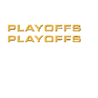 playoffs georgia Sticker by GeorgiaSwarmLax