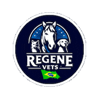 Df Brasilia Sticker by Regenevets