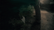april fools sunny family cult GIF by Crypt TV