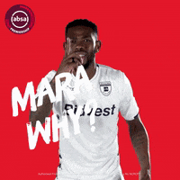 south african soccer GIF