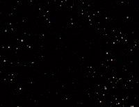 home movie intro GIF by MANGOTEETH