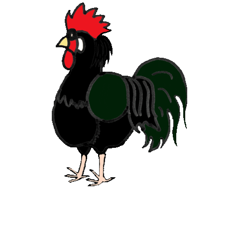 Rooster Chickens Sticker