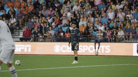 GIF by Switchbacks FC