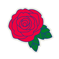 Mylillyjones redrose mylillyjones lillyjones beautifulrose Sticker