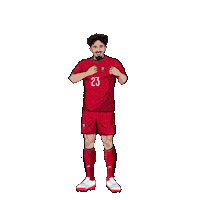 World Cup Football Sticker by Panini America