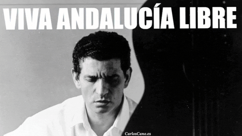 secretolivo giphygifmaker andalucia andalucismo viva andalucía libre GIF