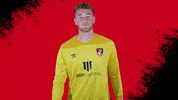 Football Ireland GIF by AFC Bournemouth