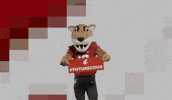Washington State Go Cougs GIF by WSU Pullman
