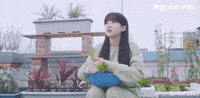 Korean Drama GIF by Viki