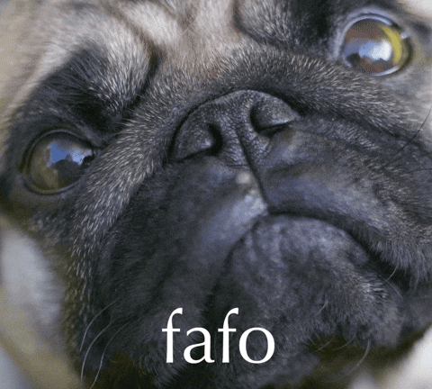 Angry Find Out GIF by Sealed With A GIF