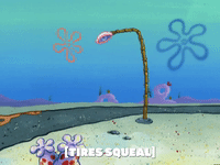 season 6 episode 13 GIF by SpongeBob SquarePants