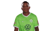 Happy Birthday Football Sticker by VfL Wolfsburg