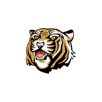 Team College Sticker by Wittenberg University