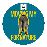Wwf 20Kmbxl Sticker by WWF-Belgium