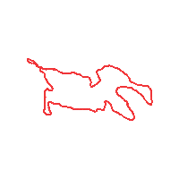 Course Fat Bike Sticker by myTeam Triumph