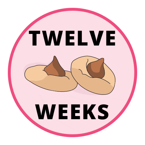 Pregnancy Baby Size Sticker by Bump Boxes