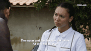 viceland GIF by RISE