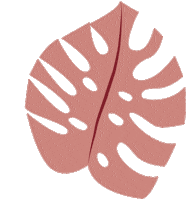 estudiobizu plant monstera dpv decoracaopravoce Sticker