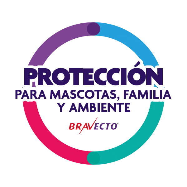 Gatos Perros Sticker by MSD Família Pet