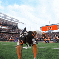 Football Flexing GIF by Bengals