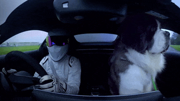 the stig dancing GIF by Top Gear