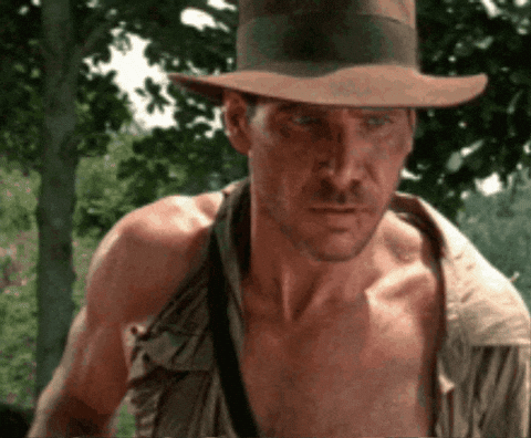 dushkebab giphygifmaker giphycreatortest indiana jones indianajones GIF