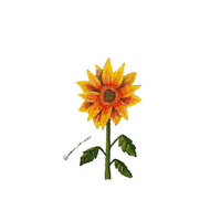 Porcos_com_asas nature flower amor sun Sticker