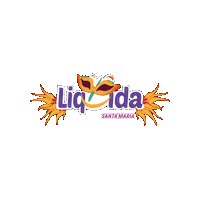 CDL_SM carnaval cdl liquida santa maria liquida sm Sticker