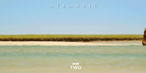 bbc two water GIF by BBC