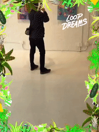 loopdreams by Loop Dreams GIF Booth